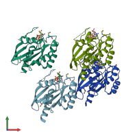 PDB entry 1g16 coloured by chain, front view.