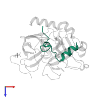 Thrombin light chain in PDB entry 1g32, assembly 1, top view.