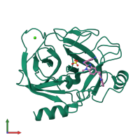 PDB entry 1g36 coloured by chain, front view.