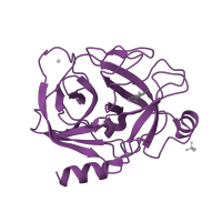 The deposited structure of PDB entry 1g3b contains 1 copy of SCOP domain 50514 (Eukaryotic proteases) in Serine protease 1. Showing 1 copy in chain A.