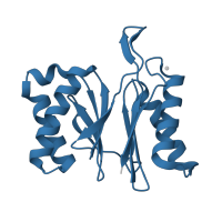 The deposited structure of PDB entry 1g3k contains 3 copies of Pfam domain PF00227 (Proteasome subunit) in ATP-dependent protease subunit HslV. Showing 1 copy in chain A.