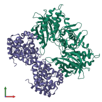 Hetero tetrameric assembly 3 of PDB entry 1g3n coloured by chemically distinct molecules, front view.