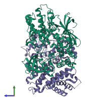Hetero tetrameric assembly 3 of PDB entry 1g3n coloured by chemically distinct molecules, side view.