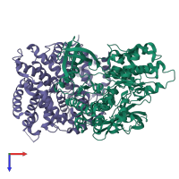 Hetero tetrameric assembly 3 of PDB entry 1g3n coloured by chemically distinct molecules, top view.