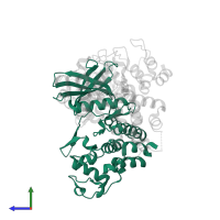 Cyclin-dependent kinase 6 in PDB entry 1g3n, assembly 1, side view.