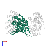 Cyclin-dependent kinase 6 in PDB entry 1g3n, assembly 1, top view.