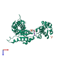 PDB entry 1g41 coloured by chain, top view.