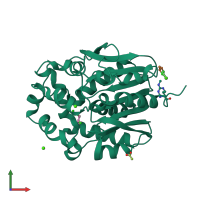 PDB entry 1g42 coloured by chain, front view.