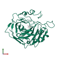 Carbonic anhydrase 2 in PDB entry 1g46, assembly 1, front view.