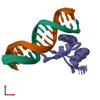PDB entry 1g4d coloured by chain, ensemble of 25 models, front view.