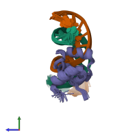PDB entry 1g4d coloured by chain, ensemble of 25 models, side view.