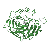 The deposited structure of PDB entry 1g54 contains 1 copy of SCOP domain 51070 (Carbonic anhydrase) in Carbonic anhydrase 2. Showing 1 copy in chain A.