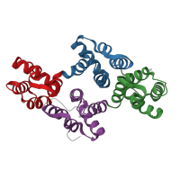 The deposited structure of PDB entry 1g5n contains 4 copies of CATH domain 1.10.220.10 (Annexin V; domain 1) in Annexin A5. Showing 4 copies in chain A.