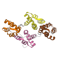 The deposited structure of PDB entry 1g5n contains 4 copies of Pfam domain PF00191 (Annexin) in Annexin A5. Showing 4 copies in chain A.