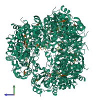 Hetero 24-meric assembly 1 of PDB entry 1g5q coloured by chemically distinct molecules, side view.