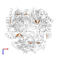 Lantibiotic epidermin in PDB entry 1g5q, assembly 1, top view.