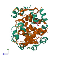 Hetero dodecameric assembly 2 of PDB entry 1g7a coloured by chemically distinct molecules, side view.