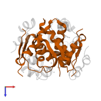 Insulin B chain in PDB entry 1g7a, assembly 2, top view.