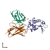 PDB entry 1g7i coloured by chain, front view.