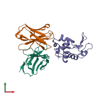 PDB entry 1g7l coloured by chain, front view.