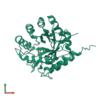 PDB entry 1g7u coloured by chain, front view.