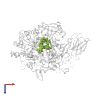 2-AMINO-5,6-DIMERCAPTO-7-METHYL-3,7,8A,9-TETRAHYDRO-8-OXA-1,3,9,10-TETRAAZA-ANTHRACEN-4-ONE GUANOSINE DINUCLEOTIDE in PDB entry 1g8k, assembly 1, top view.