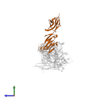 T-cell surface glycoprotein CD4 in PDB entry 1g9m, assembly 1, side view.