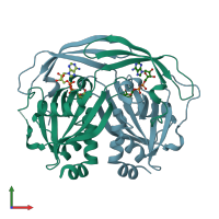 PDB entry 1g9q coloured by chain, front view.