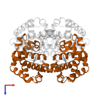 Hemoglobin subunit beta in PDB entry 1g9v, assembly 1, top view.