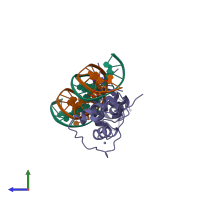 Hetero tetrameric assembly 1 of PDB entry 1ga5 coloured by chemically distinct molecules, side view.