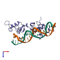 Hetero tetrameric assembly 2 of PDB entry 1ga5 coloured by chemically distinct molecules, top view.