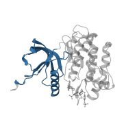 The deposited structure of PDB entry 1gag contains 1 copy of CATH domain 3.30.200.20 (Phosphorylase Kinase; domain 1) in Insulin receptor subunit beta. Showing 1 copy in chain A.