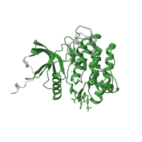 The deposited structure of PDB entry 1gag contains 1 copy of Pfam domain PF07714 (Protein tyrosine and serine/threonine kinase) in Insulin receptor subunit beta. Showing 1 copy in chain A.