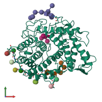 PDB entry 1gah coloured by chain, front view.