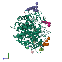 PDB entry 1gai coloured by chain, side view.