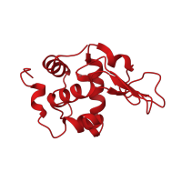 The deposited structure of PDB entry 1gbx contains 1 copy of CATH domain 1.10.530.10 (Lysozyme) in Lysozyme C. Showing 1 copy in chain A.