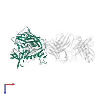 Surface protein gp120 in PDB entry 1gc1, assembly 1, top view.