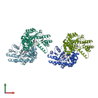 PDB entry 1gc4 coloured by chain, front view.