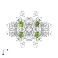 NICOTINAMIDE-ADENINE-DINUCLEOTIDE in PDB entry 1gco, assembly 1, top view.