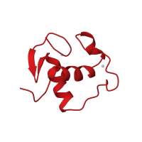 The deposited structure of PDB entry 1gdc contains 1 copy of CATH domain 3.30.50.10 (Erythroid Transcription Factor GATA-1; Chain A) in Glucocorticoid receptor. Showing 1 copy in chain A.