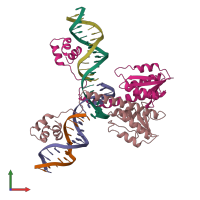 PDB entry 1gdt coloured by chain, front view.
