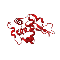 The deposited structure of PDB entry 1ge2 contains 1 copy of CATH domain 1.10.530.10 (Lysozyme) in Lysozyme C. Showing 1 copy in chain A.