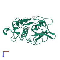 Papaya proteinase 4 in PDB entry 1gec, assembly 1, top view.