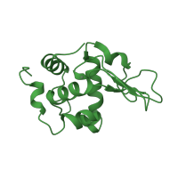 The deposited structure of PDB entry 1gf8 contains 1 copy of SCOP domain 53960 (C-type lysozyme) in Lysozyme C. Showing 1 copy in chain A.
