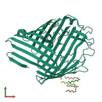 PDB entry 1gfm coloured by chain, front view.