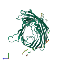 PDB entry 1gfq coloured by chain, side view.