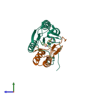 PDB entry 1gfw coloured by chain, side view.