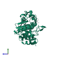 Tyrosine-protein phosphatase non-receptor type 1 in PDB entry 1gfy, assembly 1, side view.