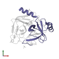 Chymotrypsin A chain C in PDB entry 1gg6, assembly 1, front view.