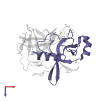 Chymotrypsin A chain C in PDB entry 1gg6, assembly 1, top view.